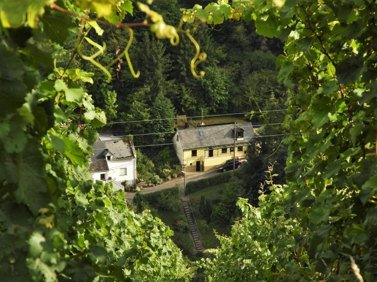Ferienhaus Meijer Villa Briedel Bagian luar foto